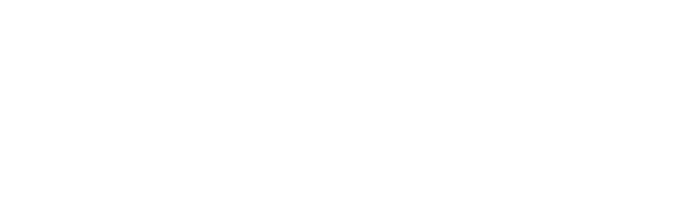 Homi Yapı